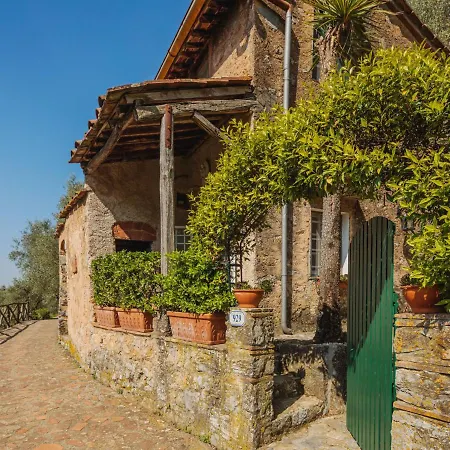 Il Metatino By Interhome Holiday home *